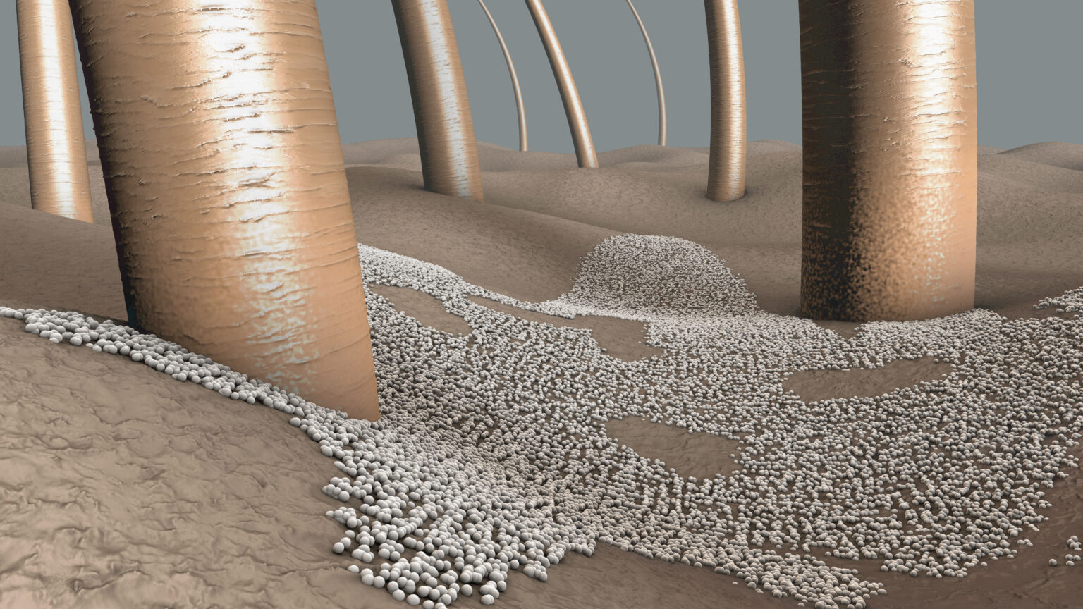 Die Top 5 Produkte gegen Schuppenflechte auf dem Markt Smart Vergleich